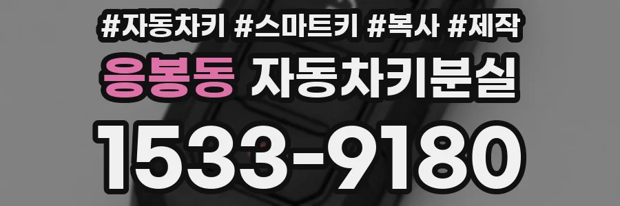 응봉동 자동차키분실