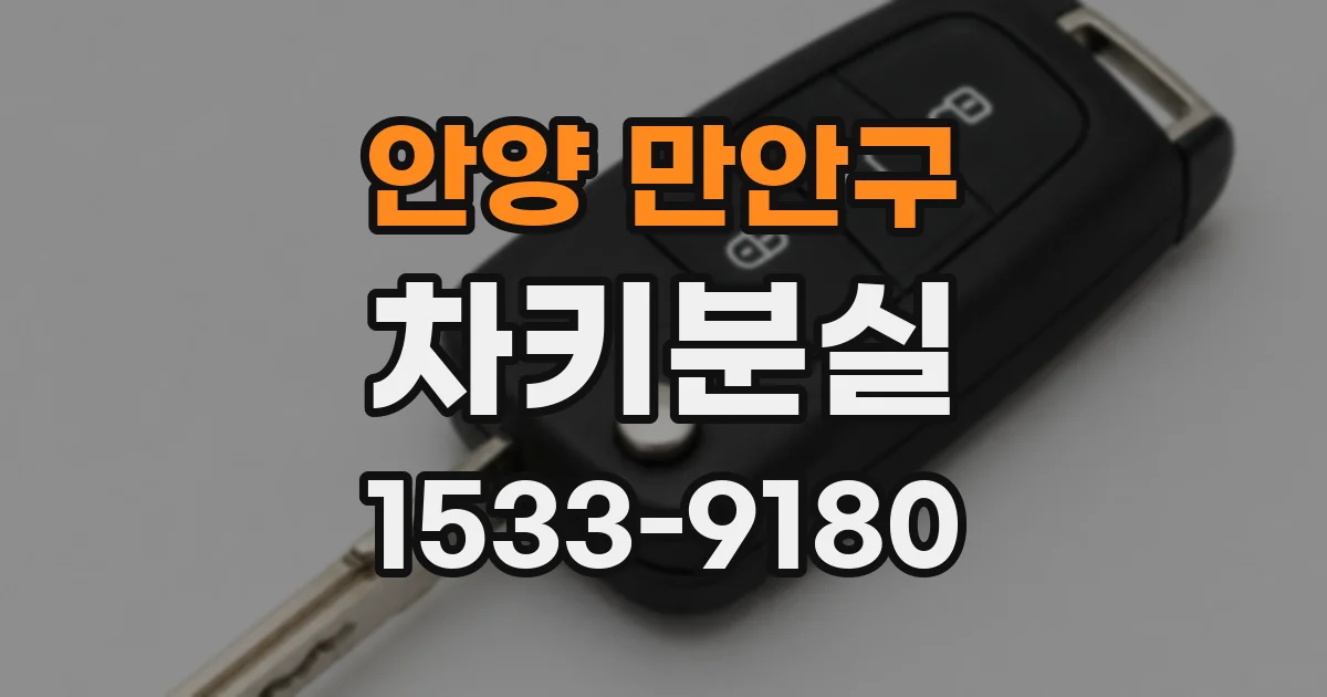 안양 만안구 차키분실
