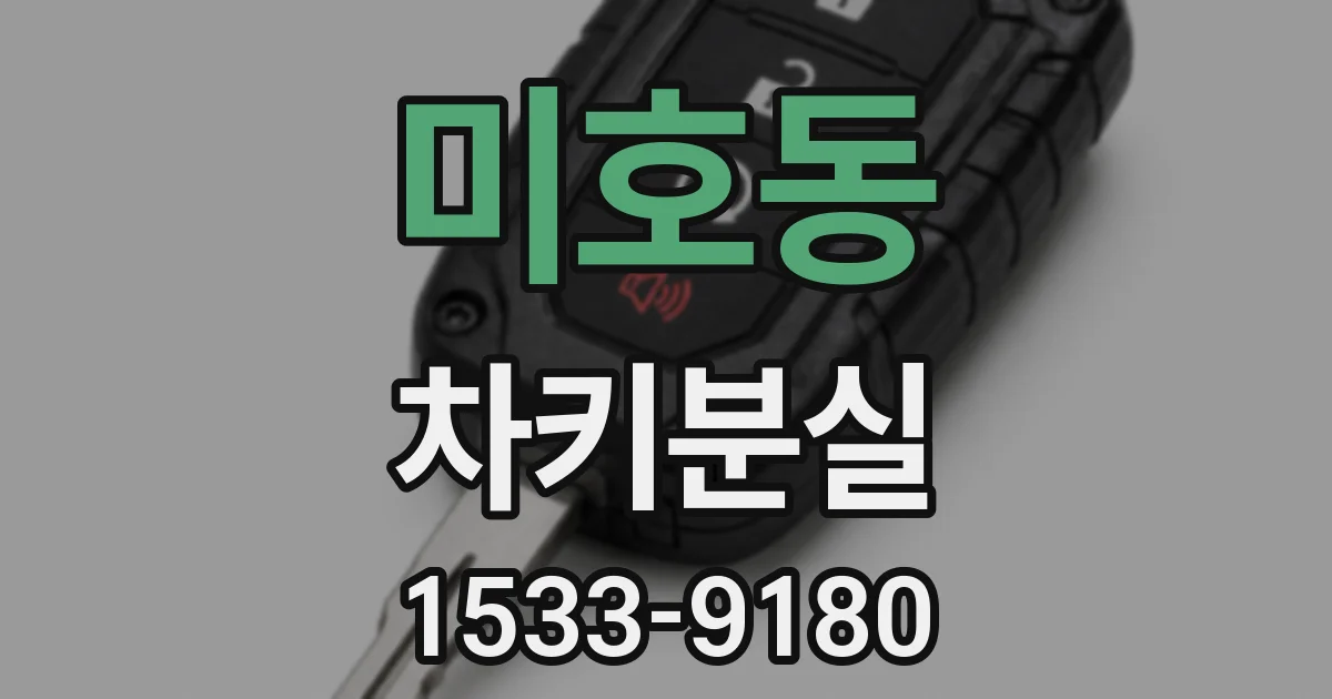 미호동 차키분실