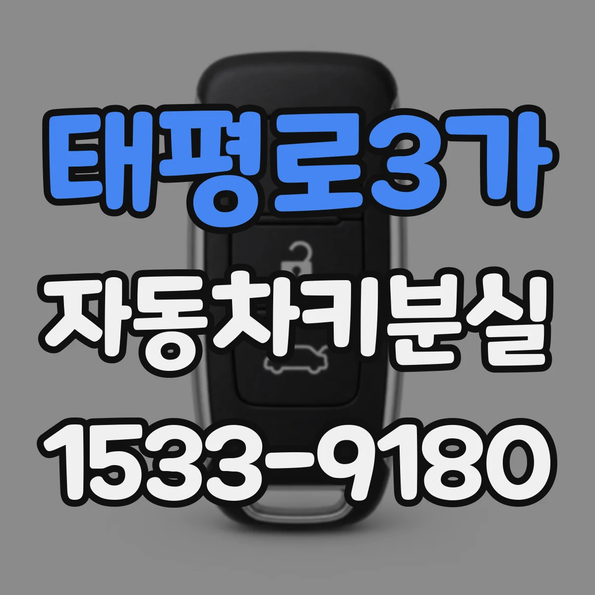 태평로3가 자동차키분실