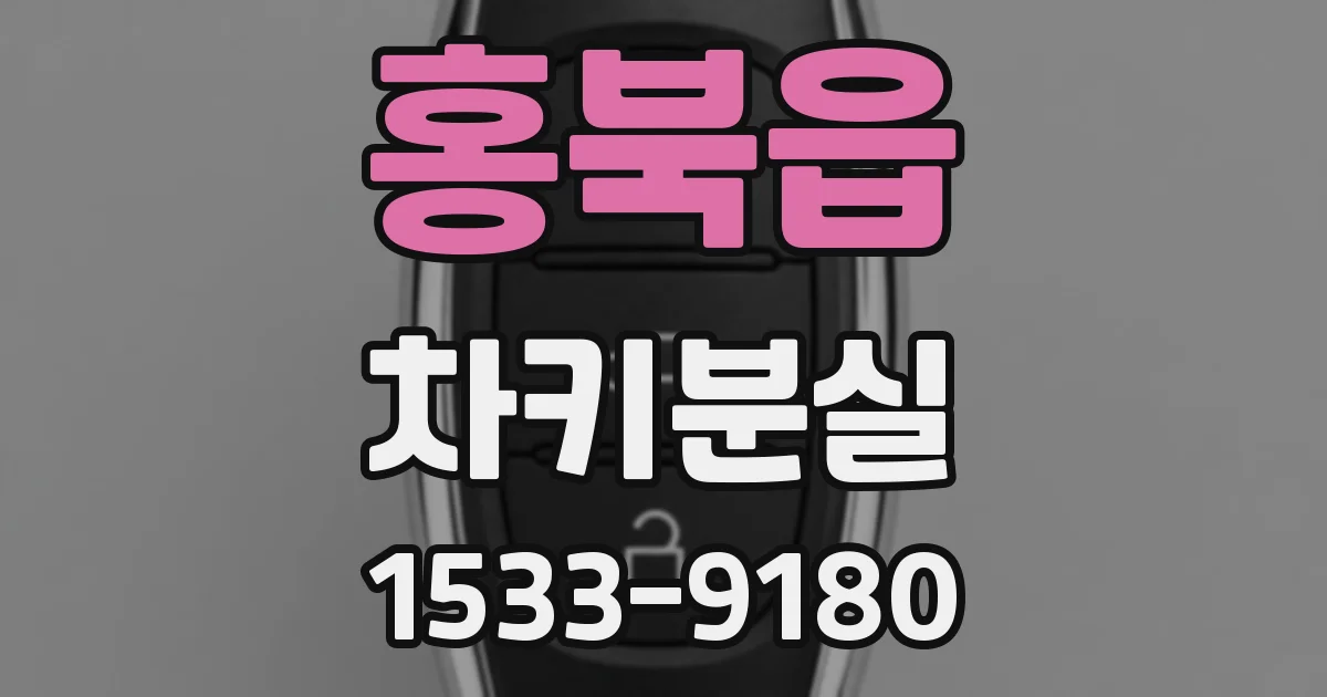 홍북읍 차키분실