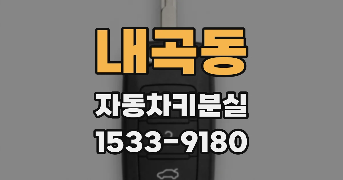 내곡동 자동차키분실