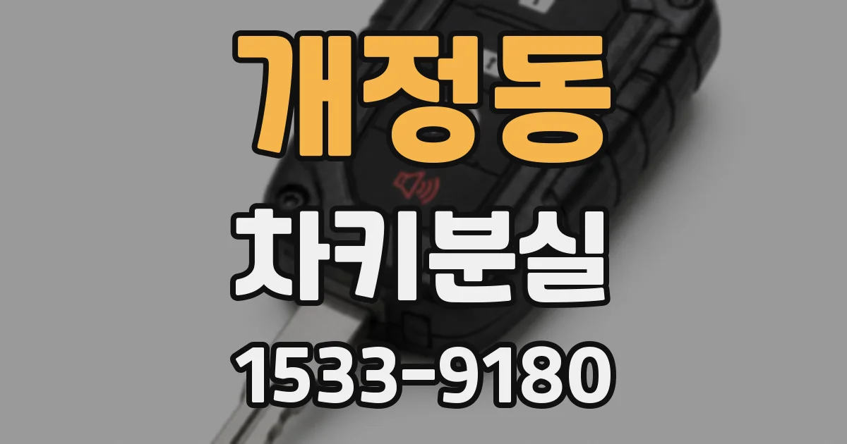 개정동 차키분실