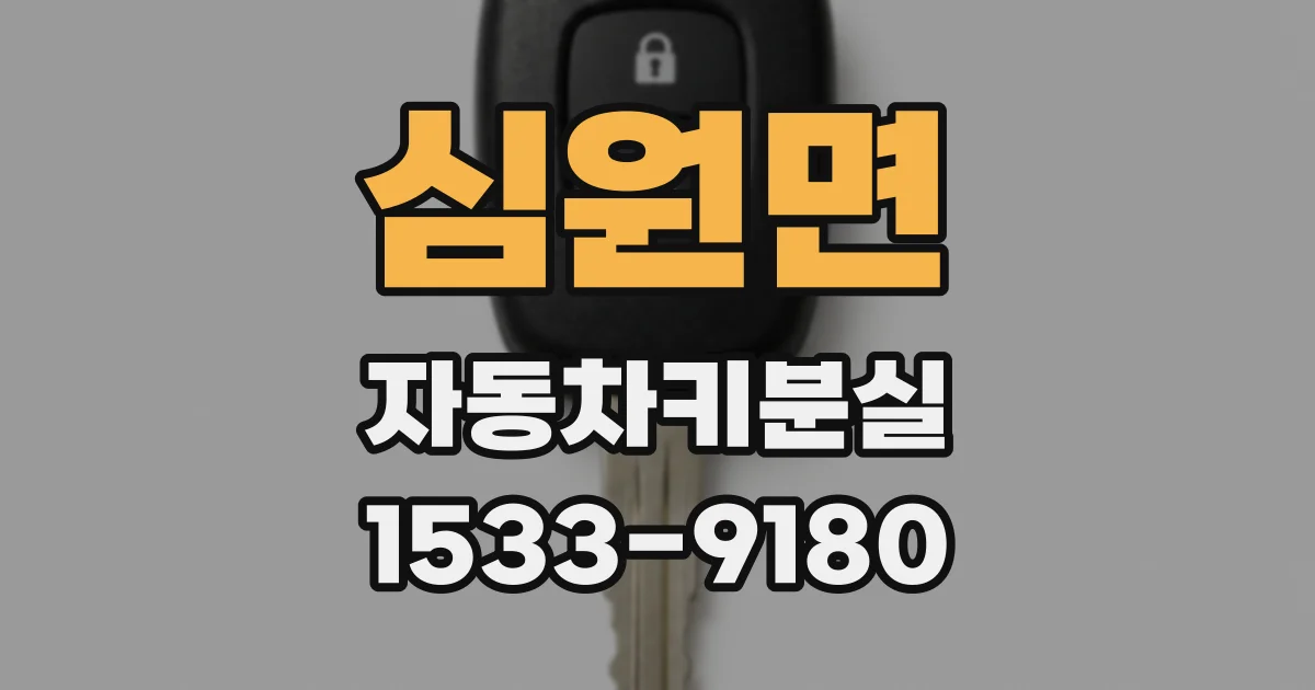 심원면 자동차키분실