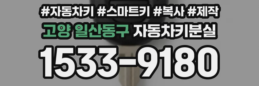 고양 일산동구 자동차키분실