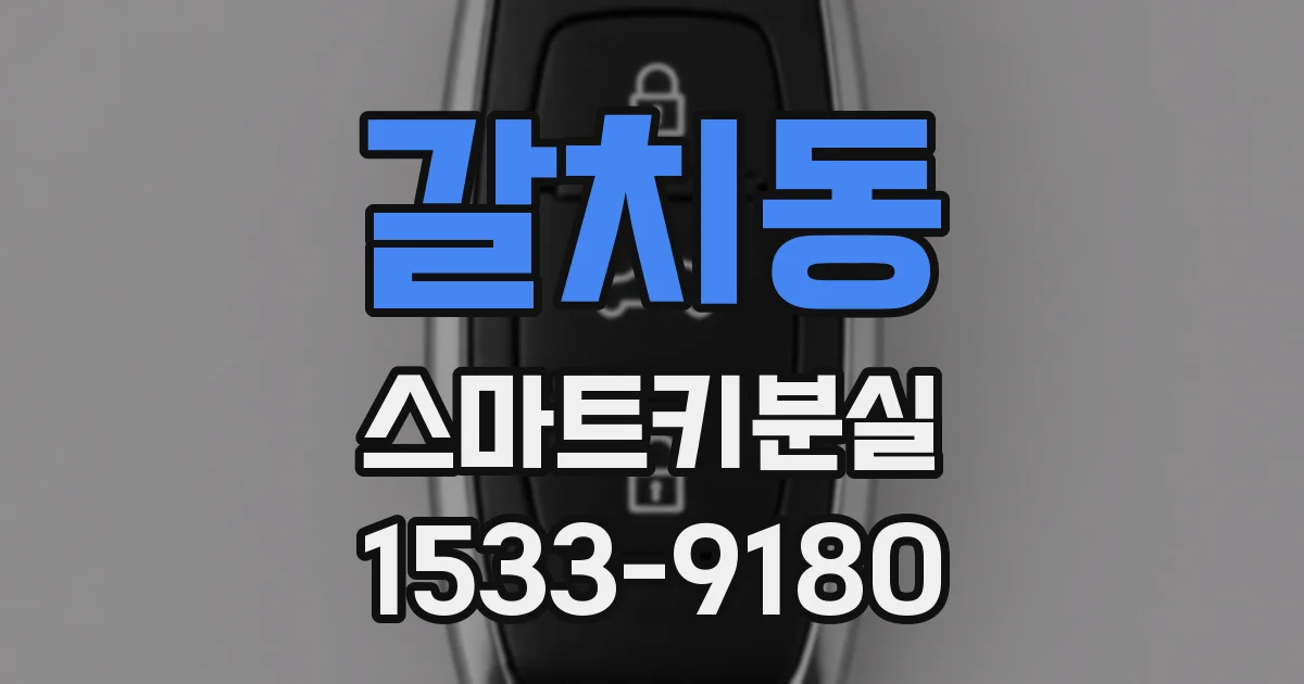 갈치동 스마트키분실