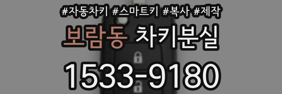보람동 차키분실