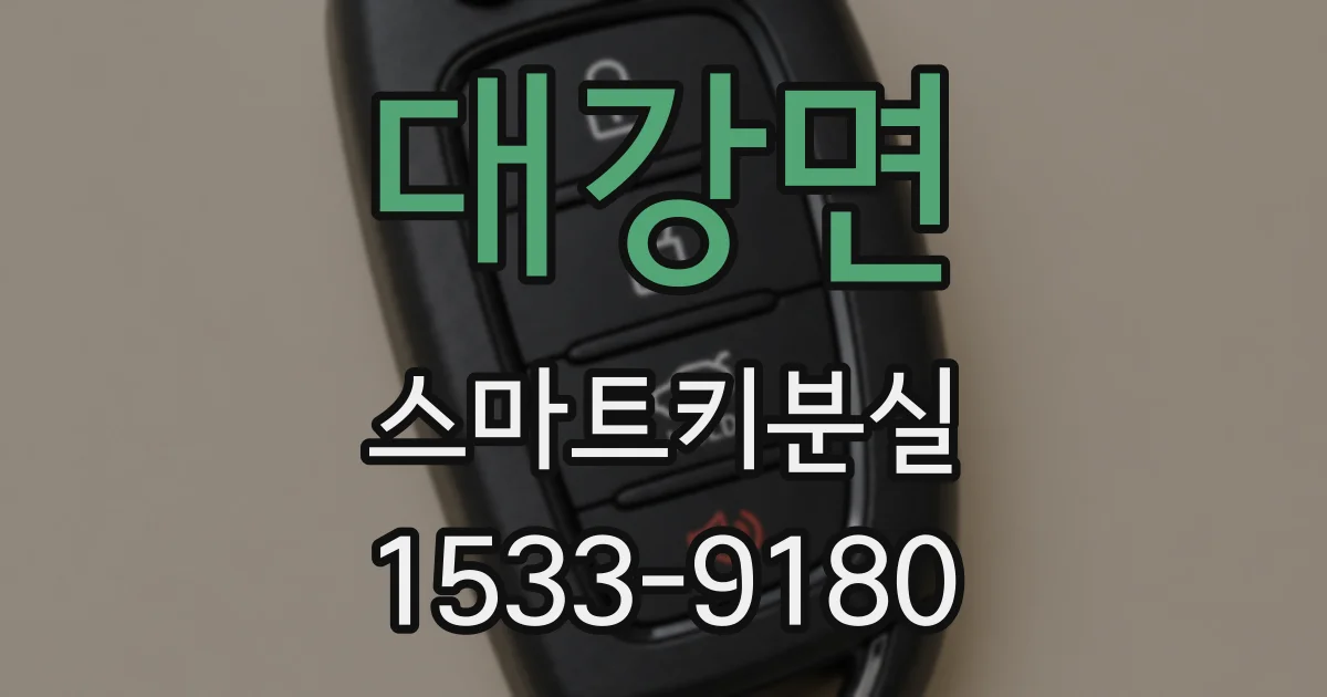 대강면 스마트키분실