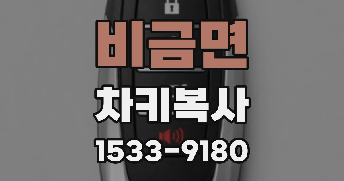 비금면 차키복사