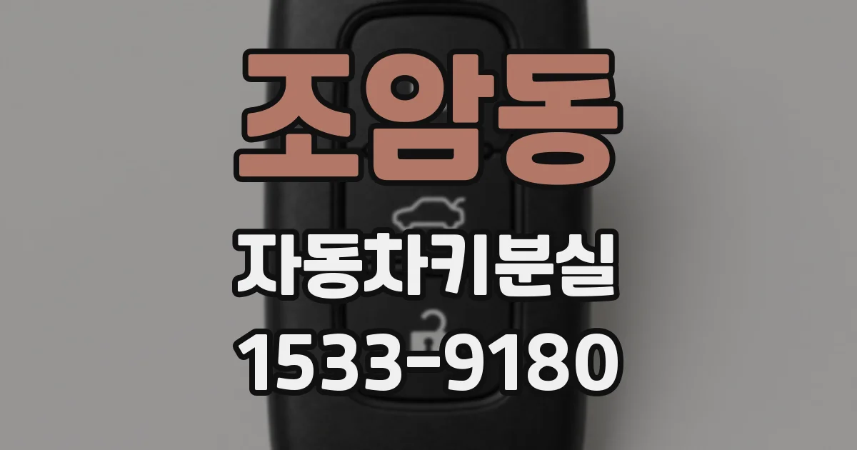 조암동 자동차키분실