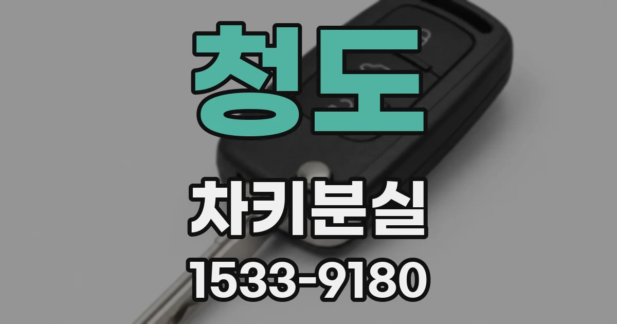 청도 차키분실