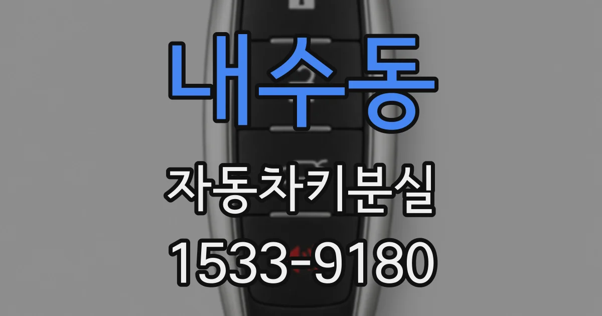 내수동 자동차키분실