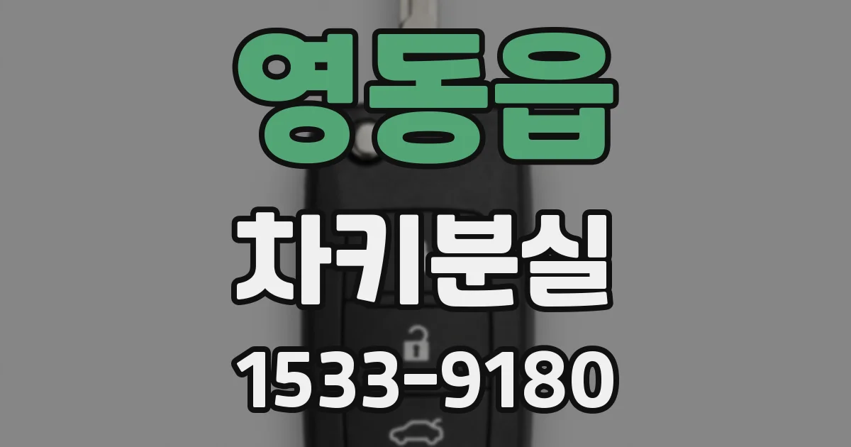 영동읍 차키분실