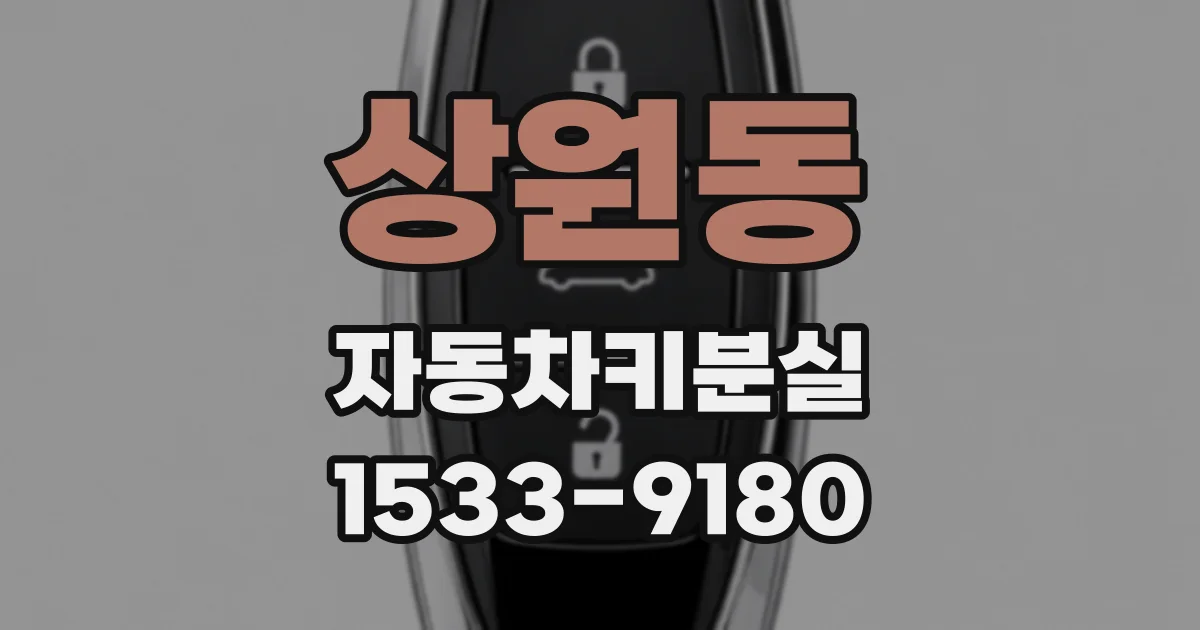 상원동 자동차키분실