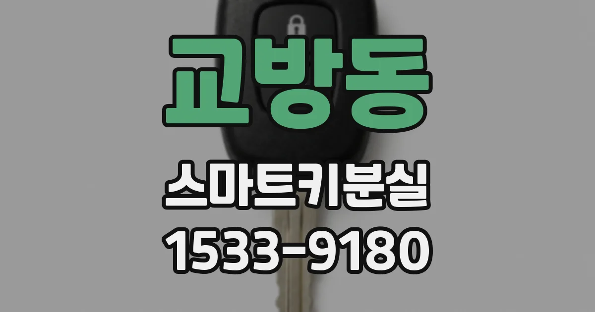 교방동 스마트키분실