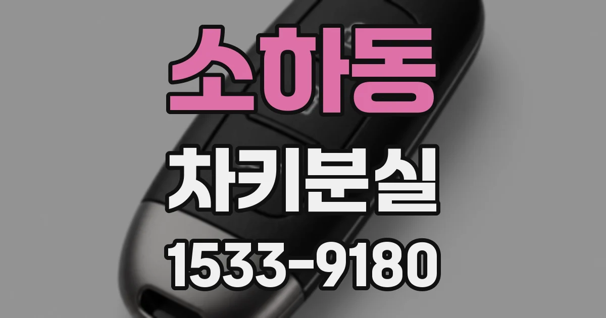 소하동 차키분실