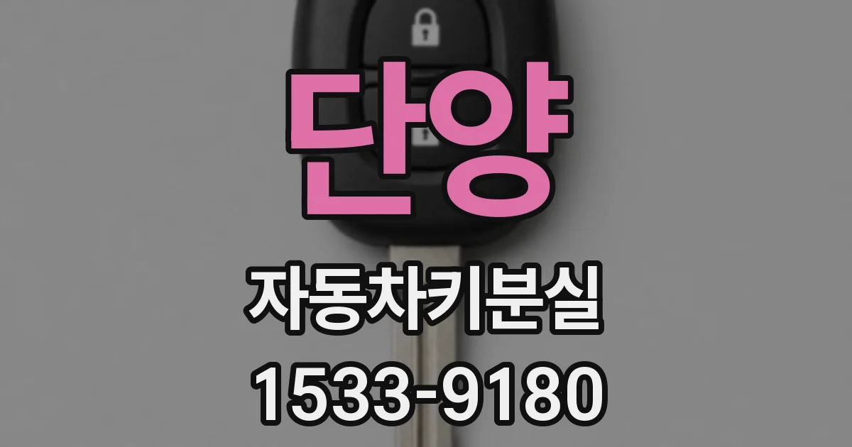 단양 자동차키분실
