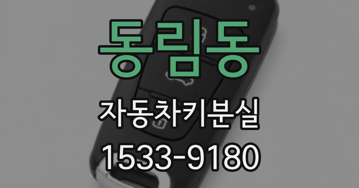 동림동 자동차키분실
