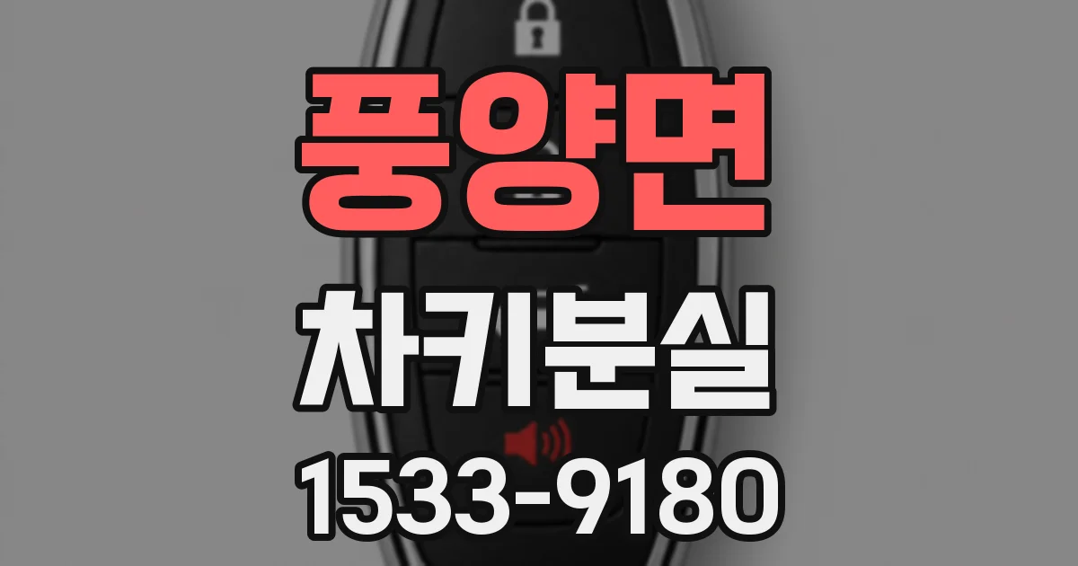 풍양면 차키분실