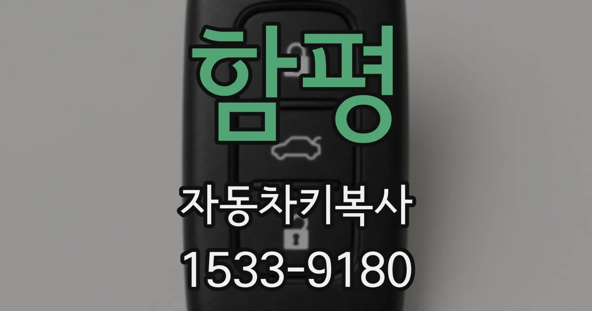 함평 자동차키복사