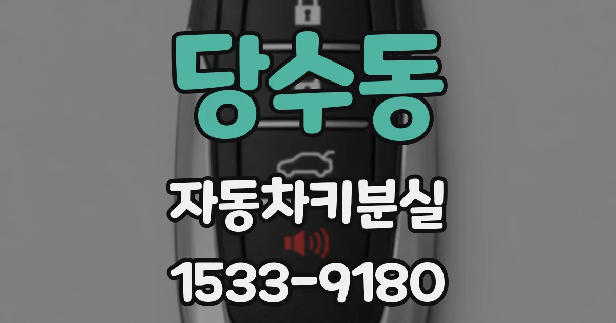 당수동 자동차키분실