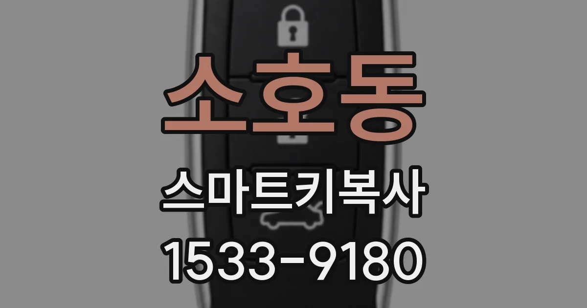 소호동 스마트키복사