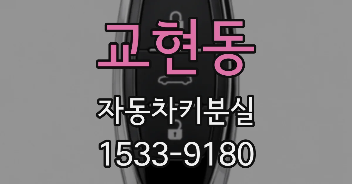 교현동 자동차키분실