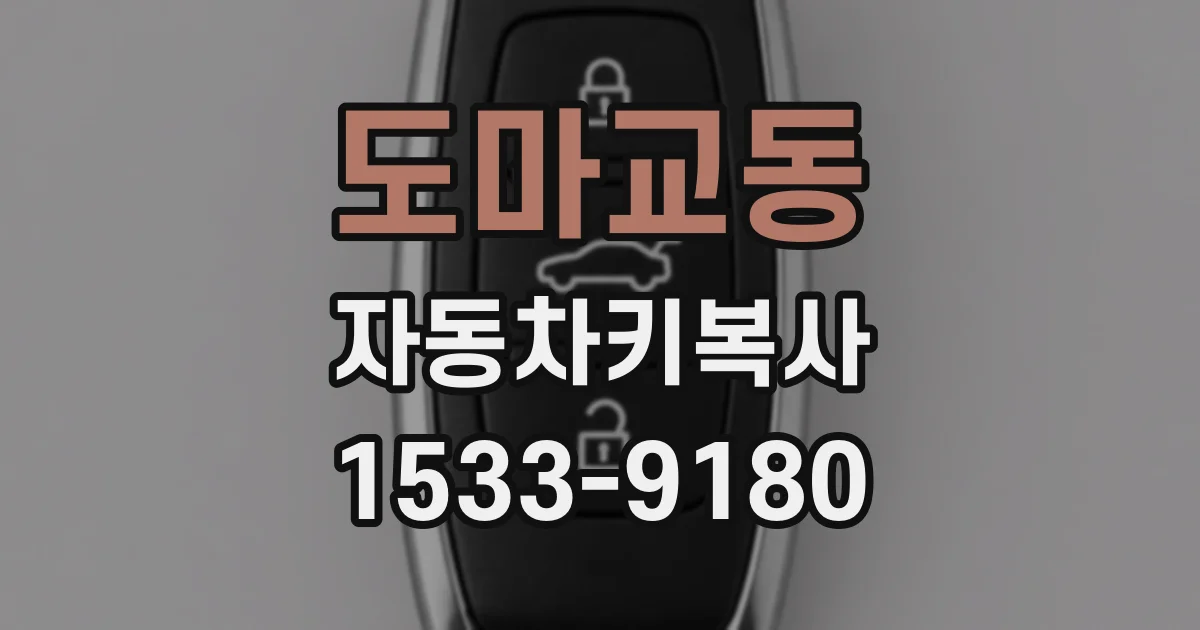 도마교동 자동차키복사