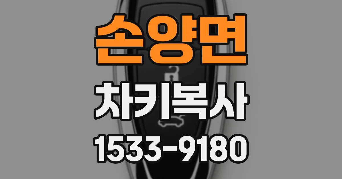 손양면 차키복사