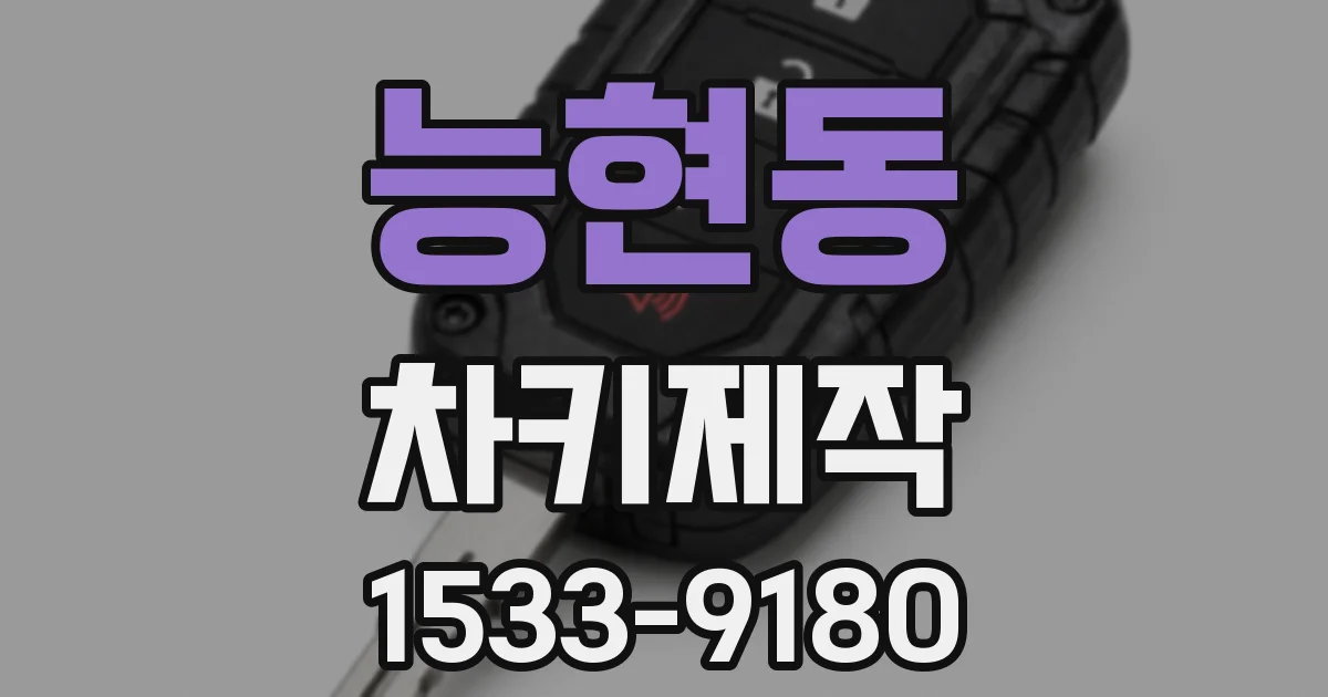 능현동 차키제작