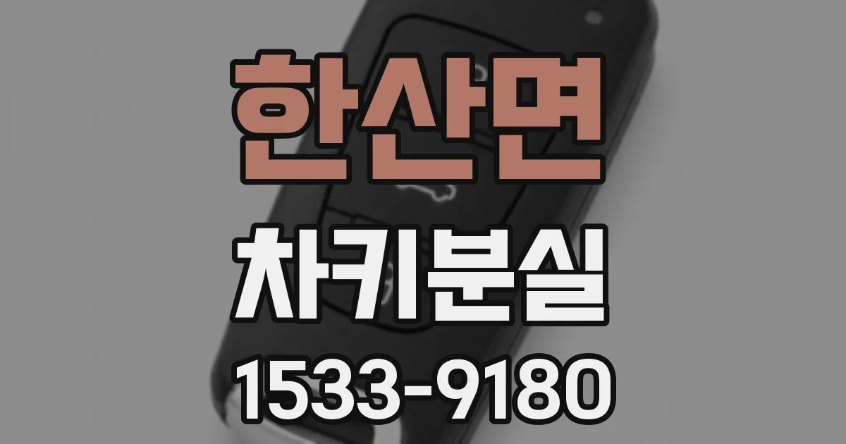 한산면 차키분실
