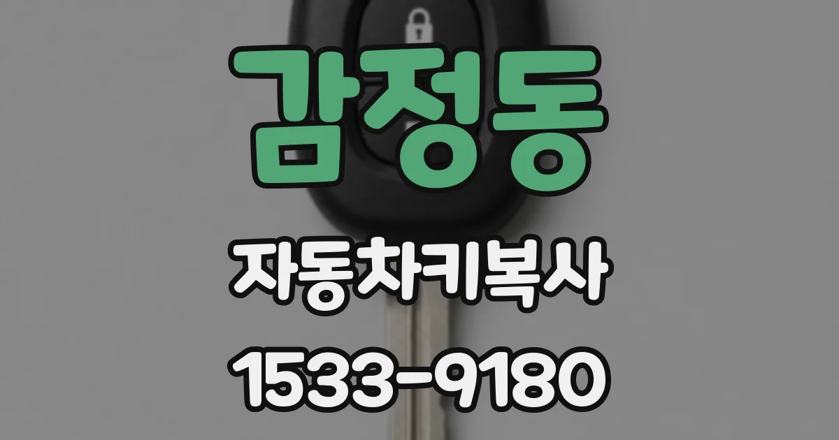 감정동 자동차키복사