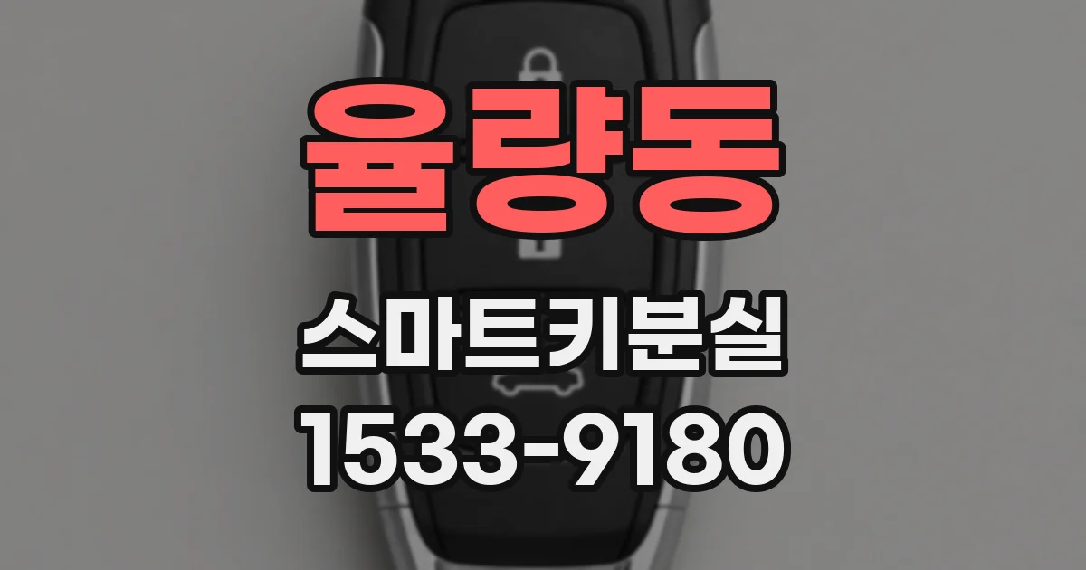 율량동 스마트키분실