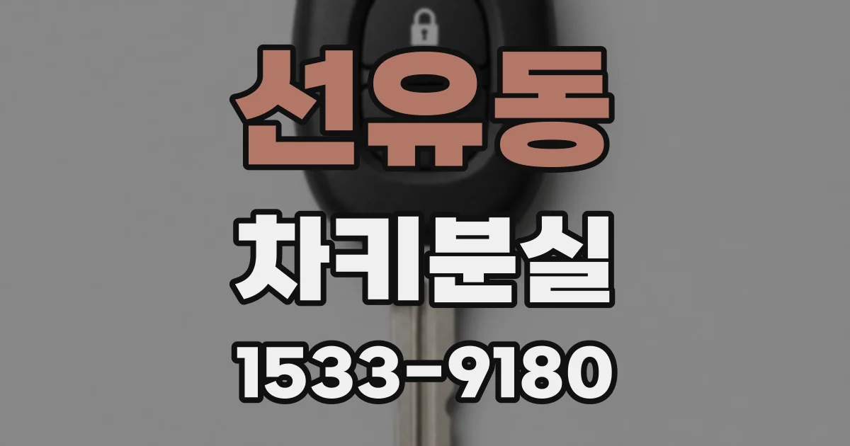 선유동 차키분실