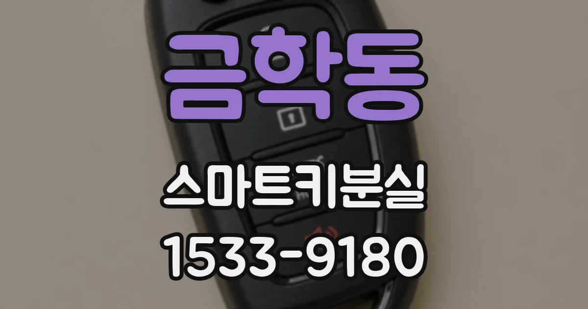 금학동 스마트키분실