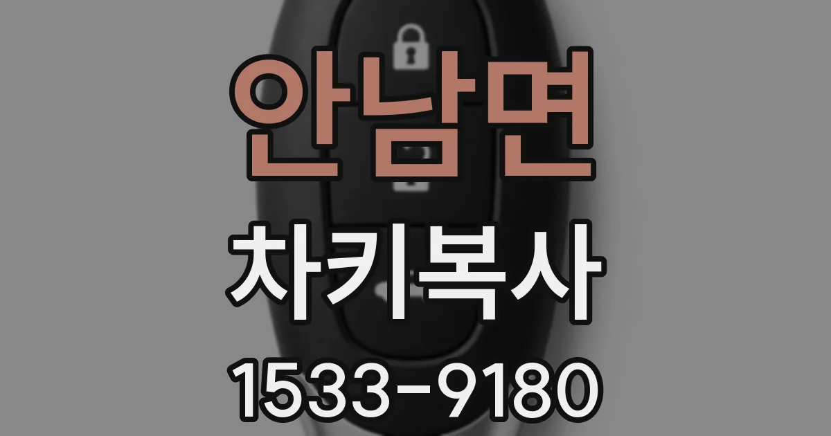 안남면 차키복사