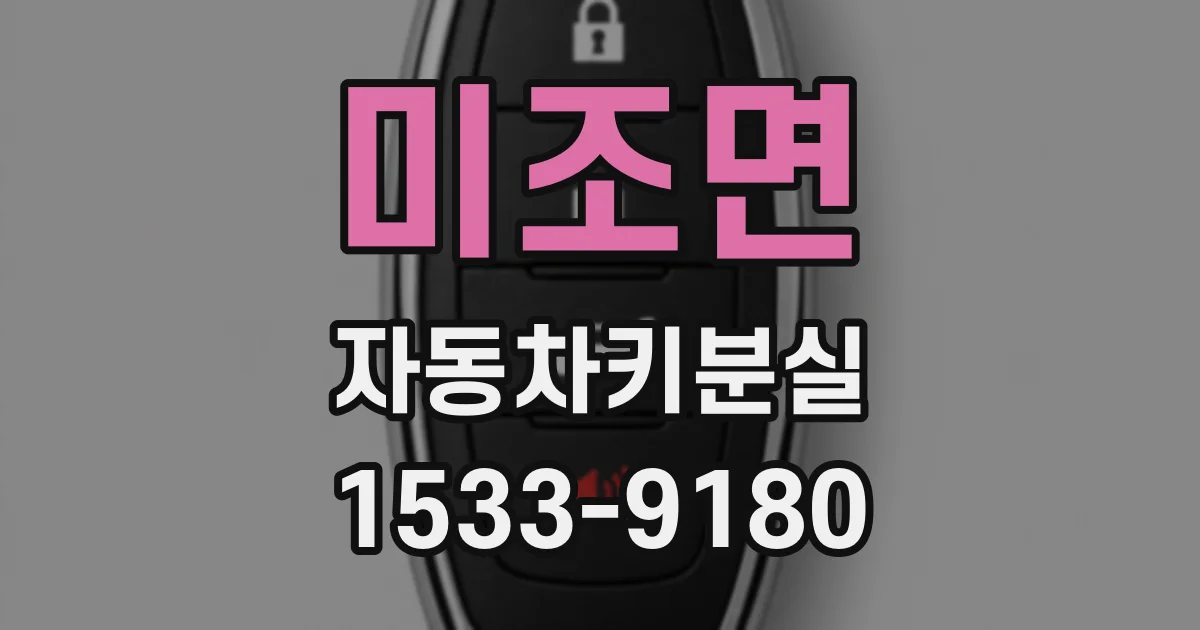 미조면 자동차키분실