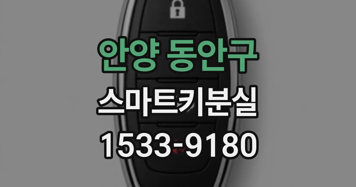 안양 동안구 스마트키분실