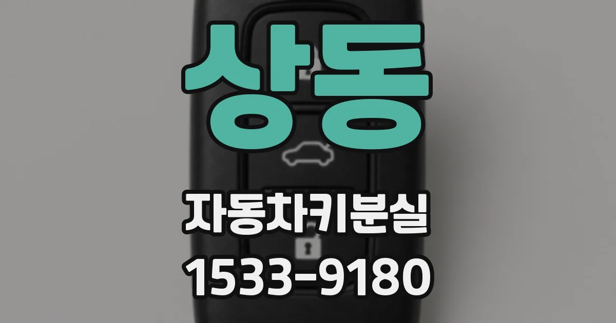 상동 자동차키분실