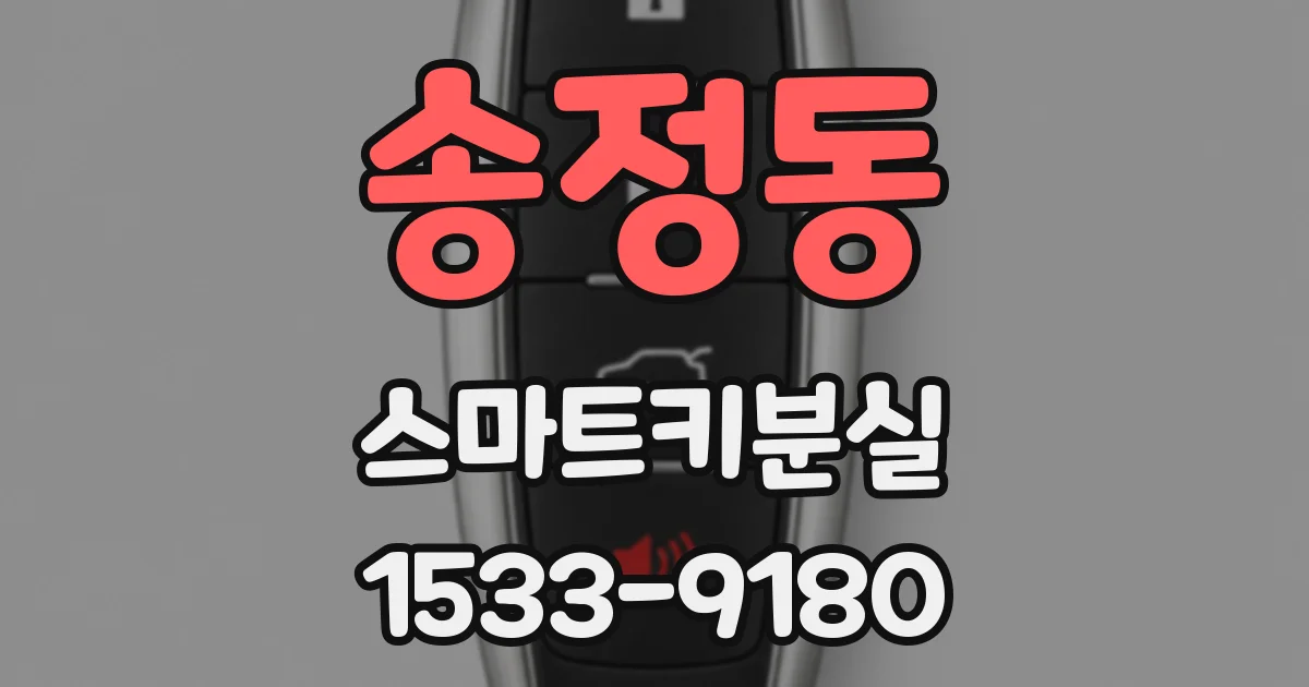 송정동 스마트키분실