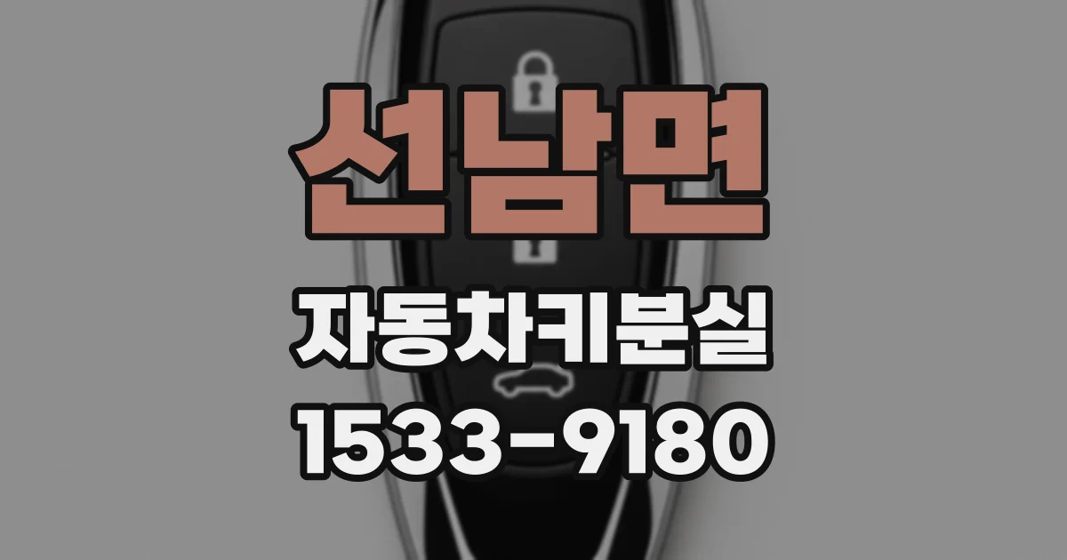 선남면 자동차키분실