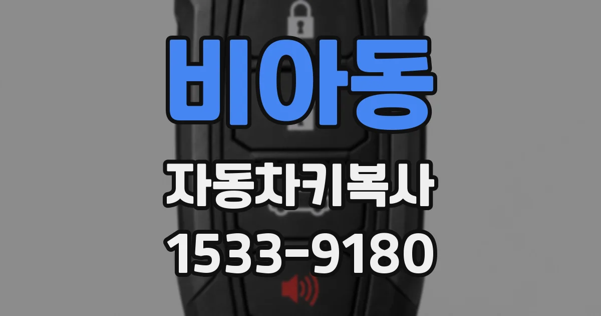 비아동 자동차키복사