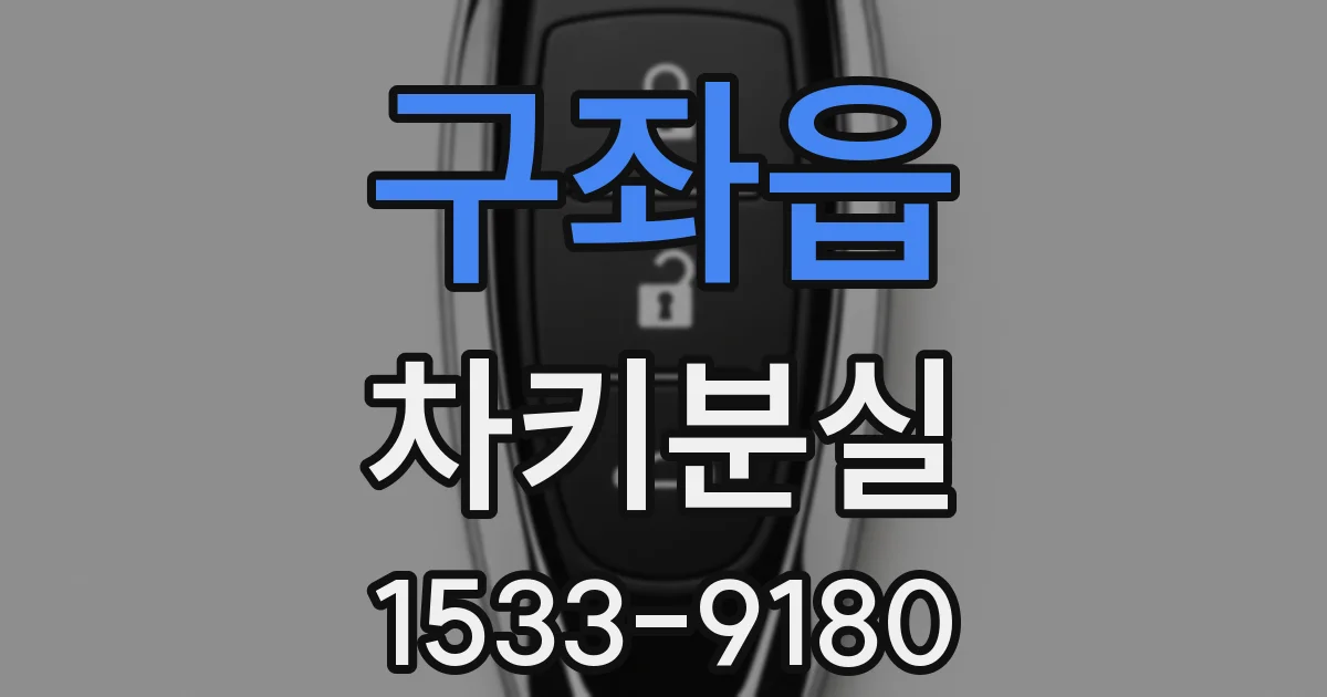 구좌읍 차키분실