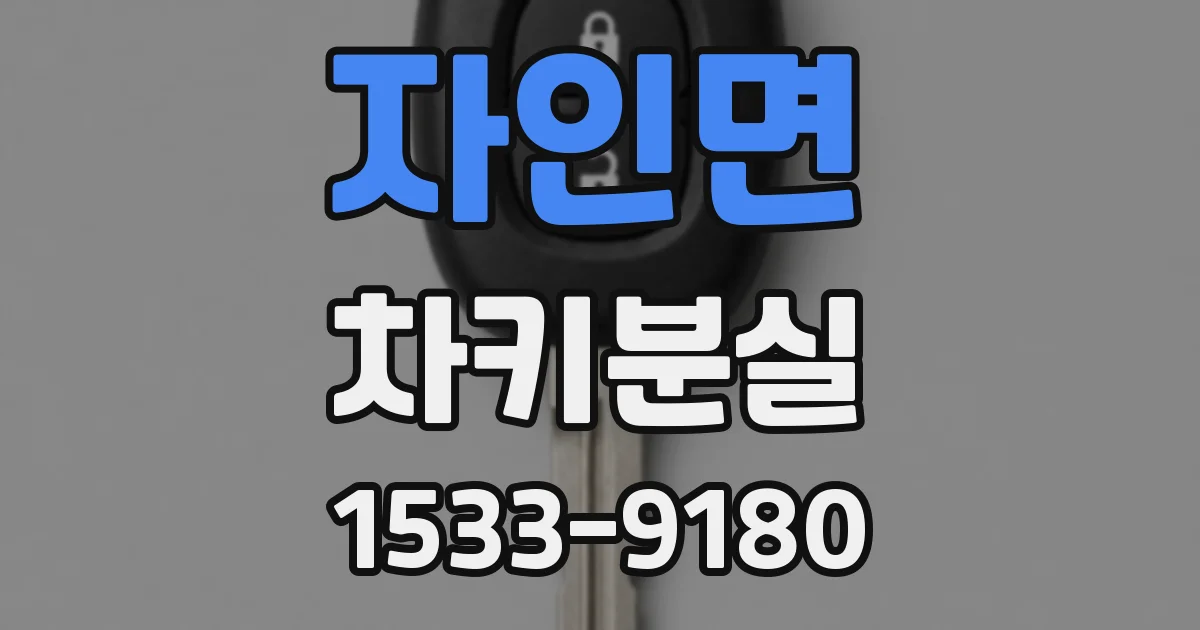 자인면 차키분실