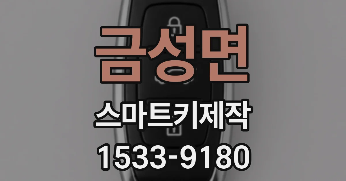 금성면 스마트키제작