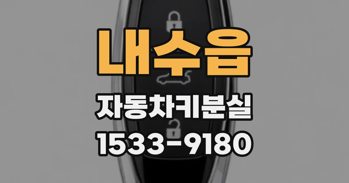 내수읍 자동차키분실