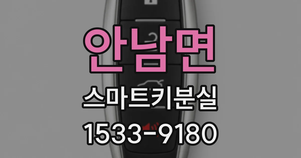 안남면 스마트키분실