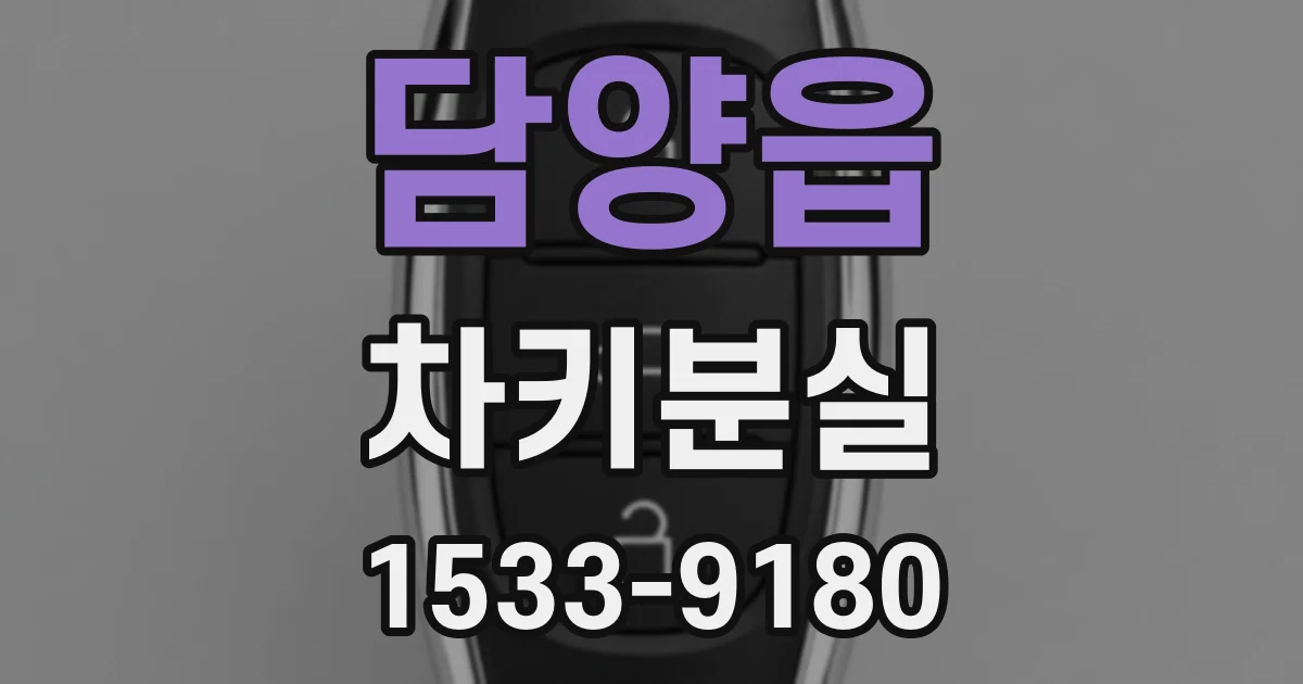 담양읍 차키분실