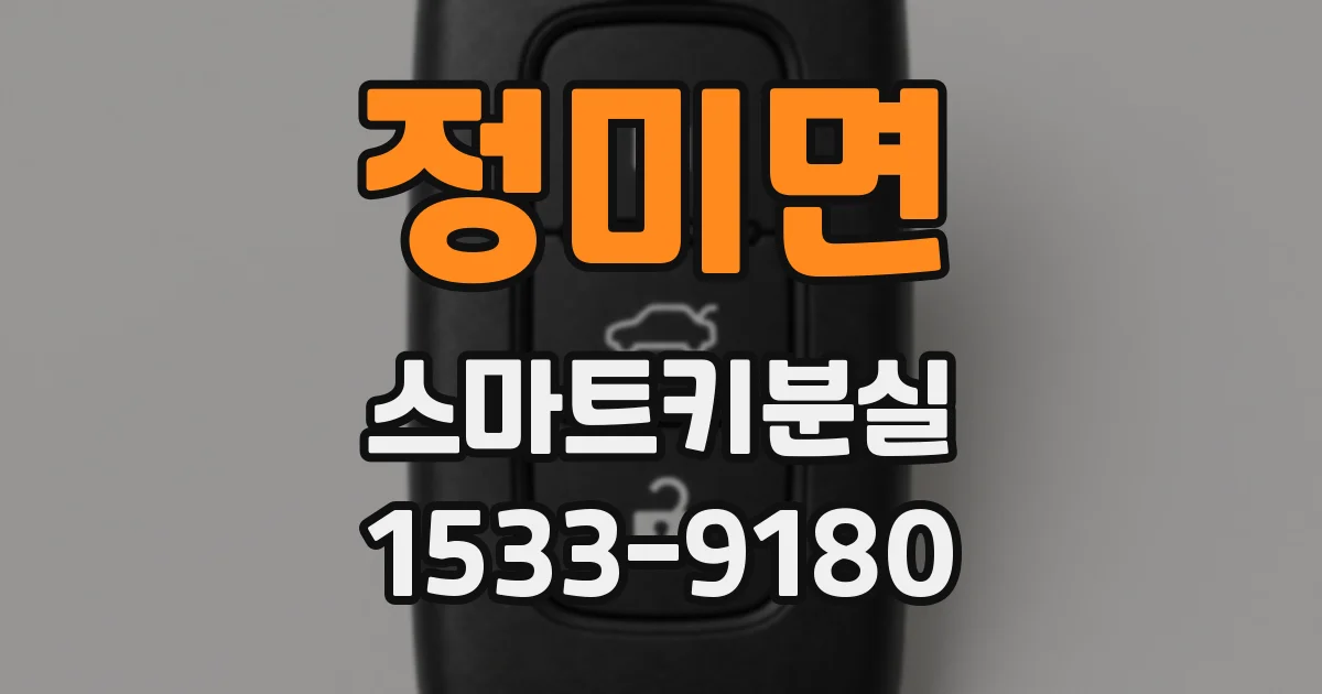 정미면 스마트키분실