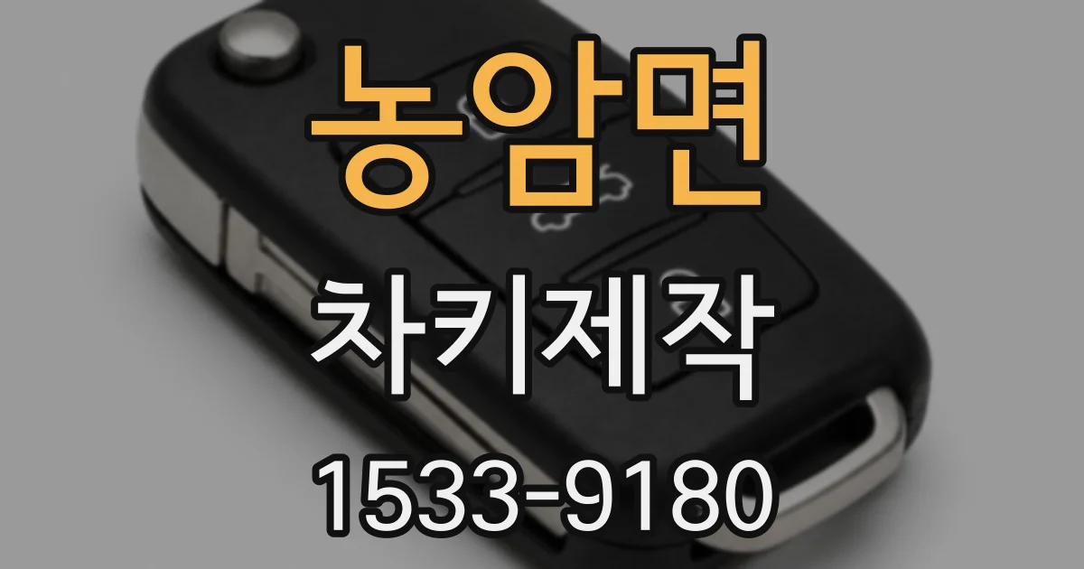 농암면 차키제작